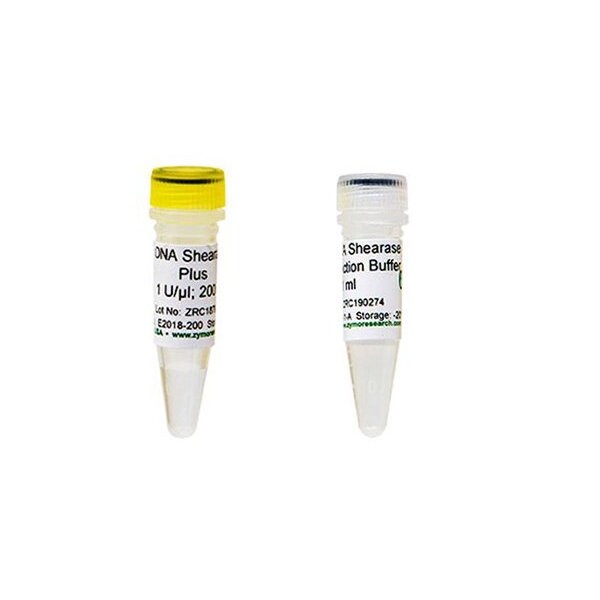 dsDNA Shearase Plus, 1 U/ul, 200 Units